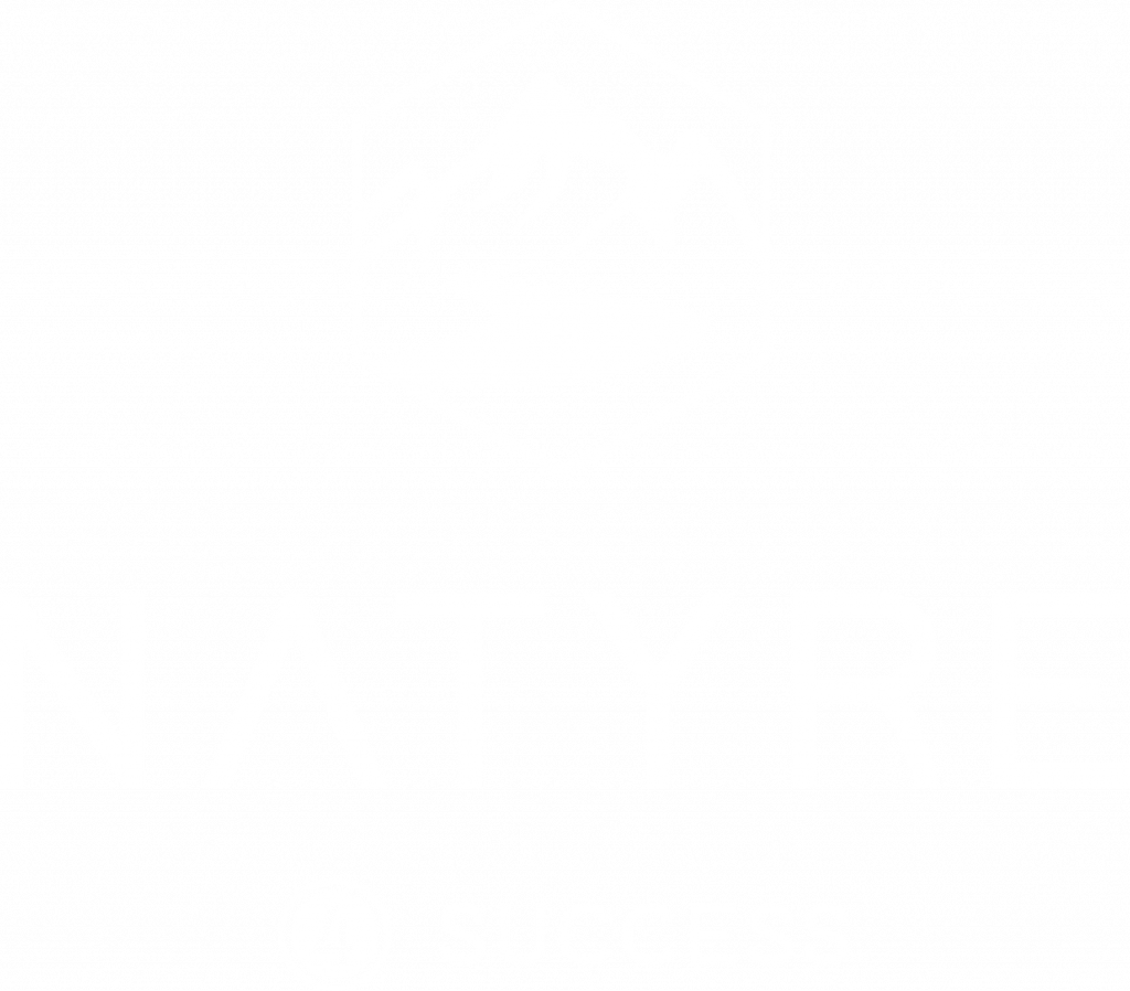 Natyr coach Erfolg, Führung und Gesundheit